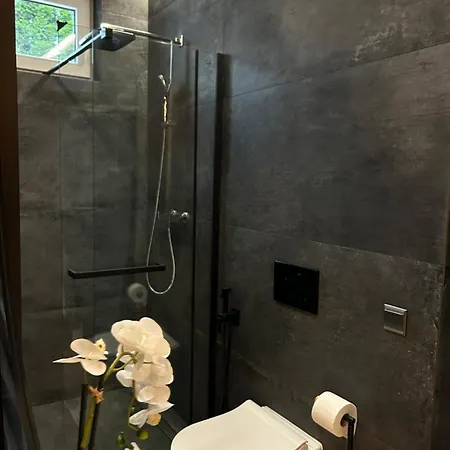 Leo & Private Zone - Old Apartment