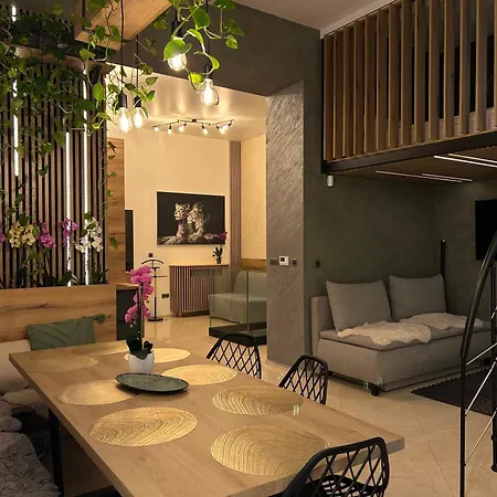 Leo & Private Zone - Old Apartment