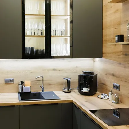 Leo & Private Zone - Old 公寓 布拉迪斯拉发