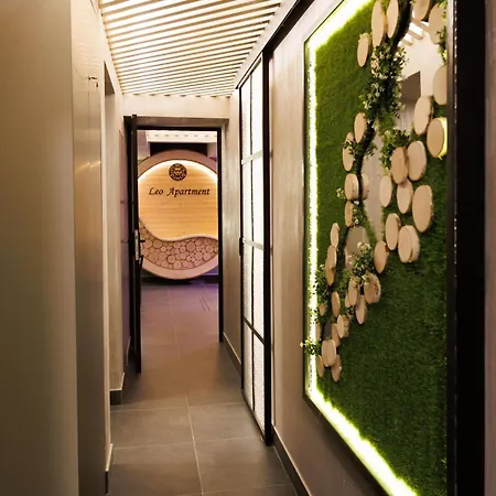 公寓 Leo & Private Zone - Old