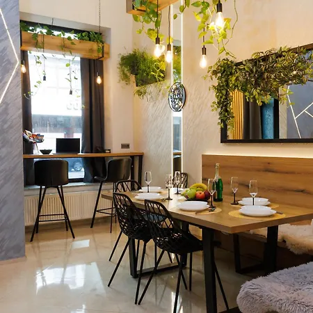 Apartment Leo & Private Zone - Old *