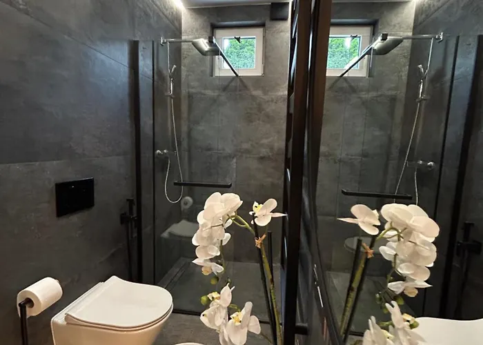 Leo & Private Zone - Old